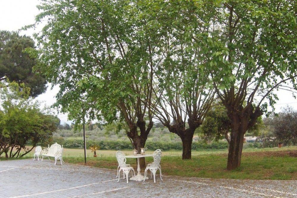 Villa Strampelli Pomezia Exterior photo